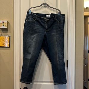 Torrid Jeans skinny